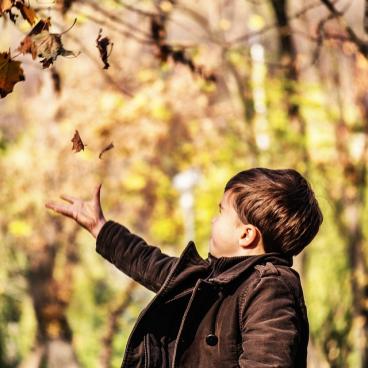 Toddler playing with falling leaves