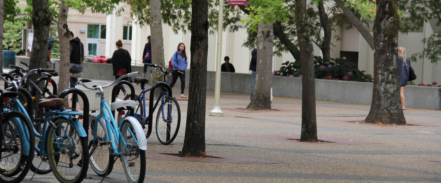 Bicycles and Students on Campus 