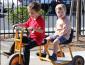 Two preschool children riding together on a bike