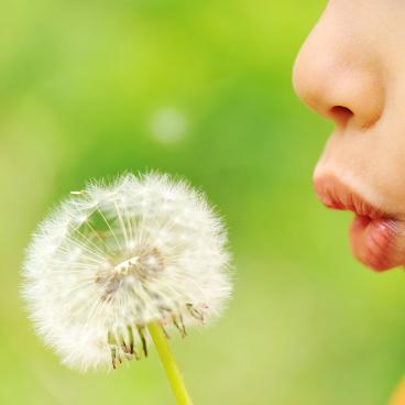 Child is blowing a flower